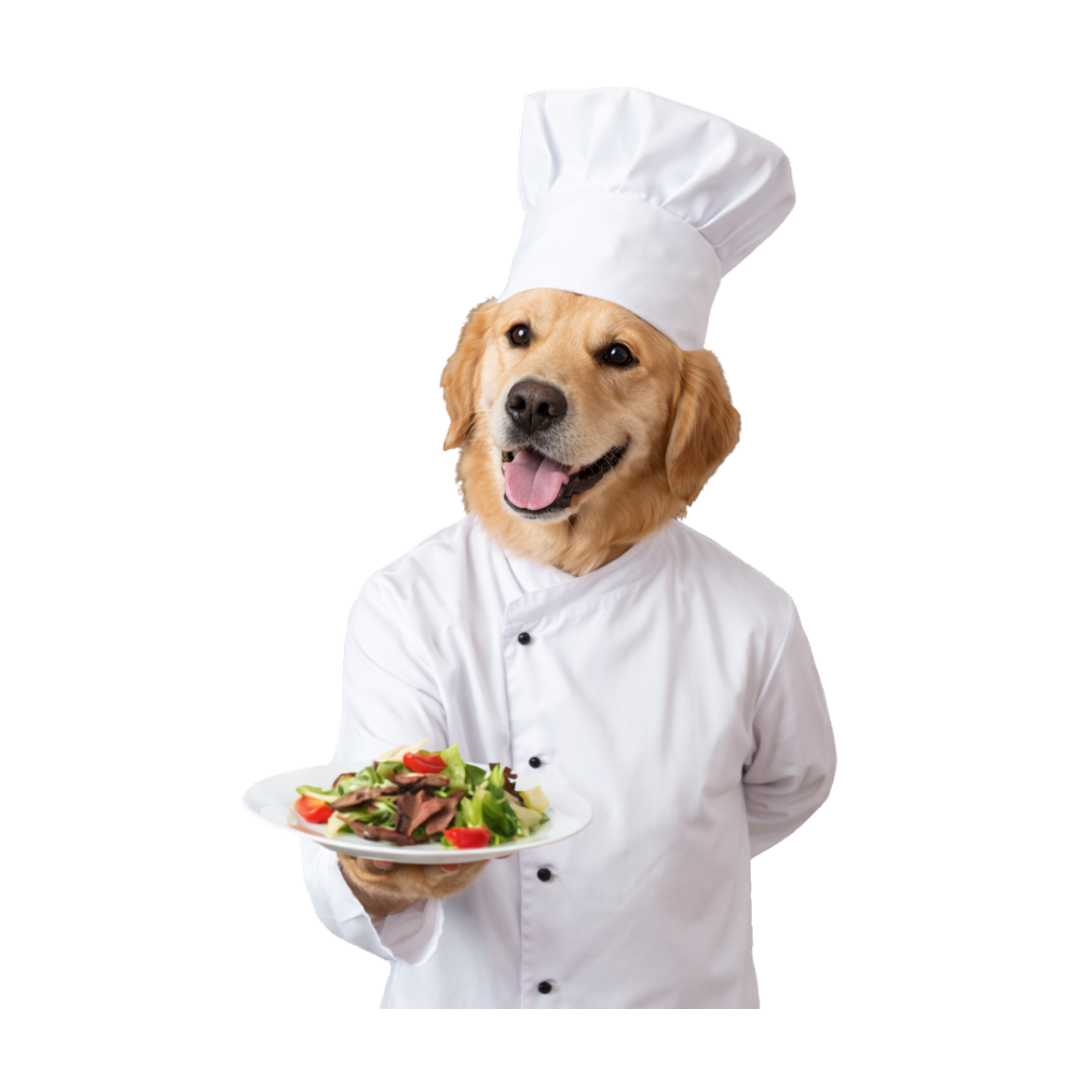 Chef Dog