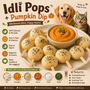 Idli Pops + Pumpkin Dip
